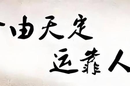 八字ppt