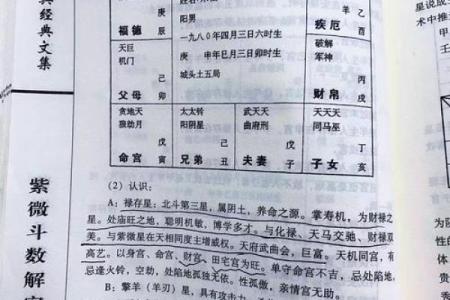 适合学紫薇斗数