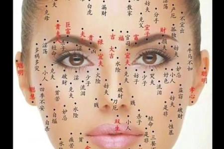 脸上黑痣算命图解吉凶