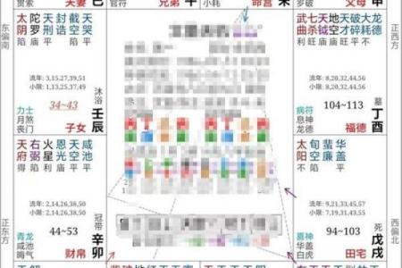 紫薇斗数紫府朝斗