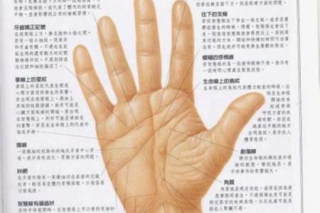 女人手相算命图解