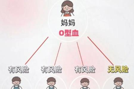 a型血和b型生的孩子是什么血型呢