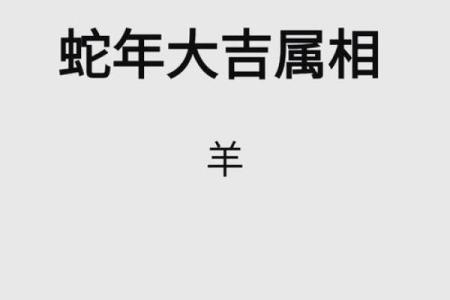 1991年属什么生肖配对