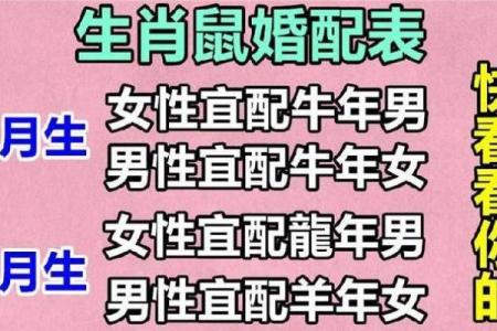爱情长久的生肖配对