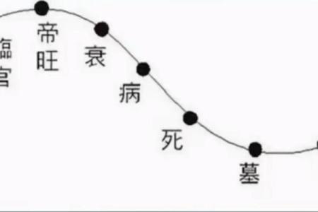 什么是紫微斗数中的天姚 紫微斗数 天姚？