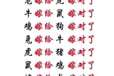 夫妻配对，对照看看。
