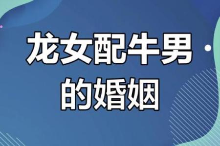牛和牛相配婚姻如何 牛牛婚姻配对好不好