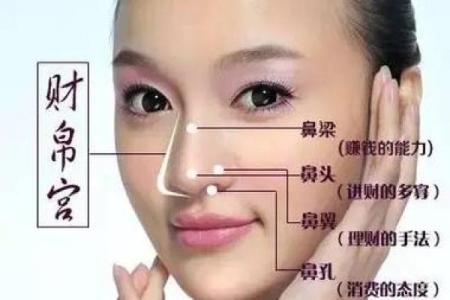 济缘算命：解读鼻子对命运的影响