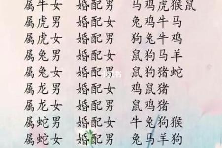 姓名配对华易 姓名配对易卜？