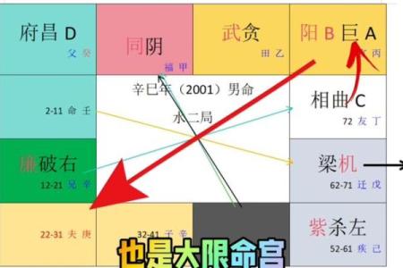 紫薇斗数里的病指什么