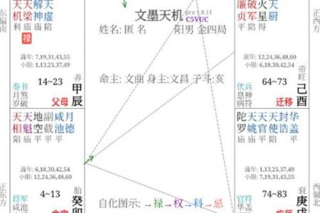 紫薇斗数命主禄存星
