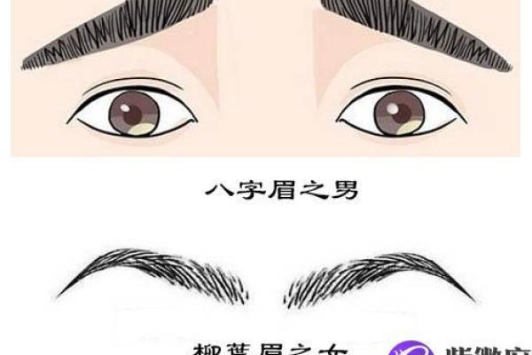 遇见之八字眉