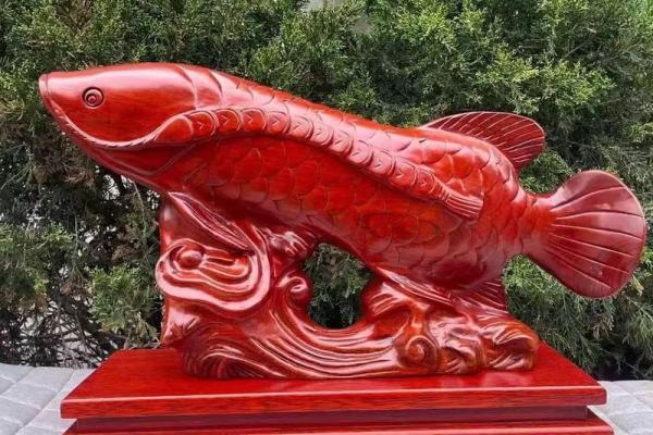 我是做生意的.怎样养风水鱼？