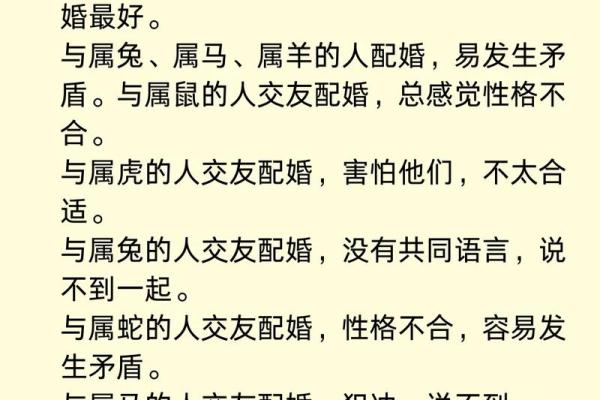 生肖鼠与十二生肖配对情况