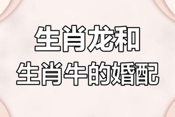 属牛的女人和什么属相最配对 属牛的女人和什么属相最配婚姻