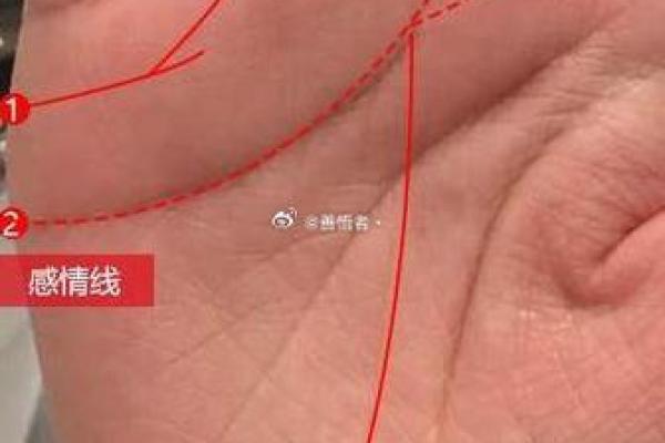 图解：手相中的感情线算命