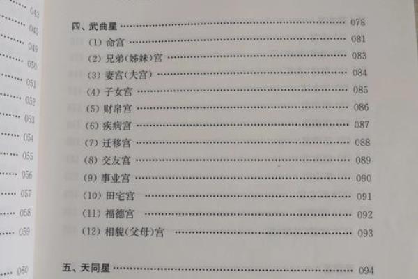 紫微斗数之各星曜所主行业：看流月流日流时发生的事情