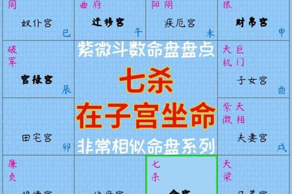 紫薇斗数一等命盘