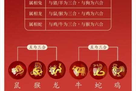 蛇和什么属相配对幸福