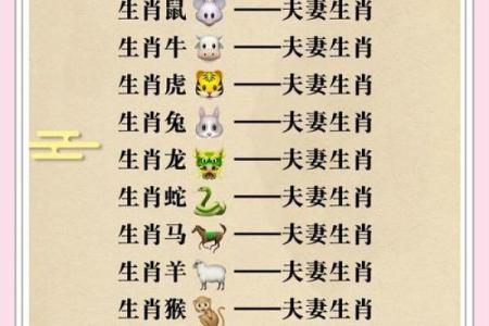 婚姻配对属龙和属马姻缘怎么样