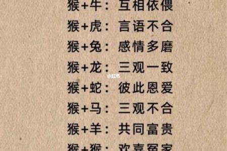 69年属什么生肖配对