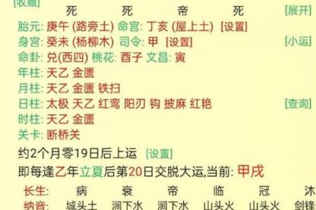 八字看庚申大运好坏