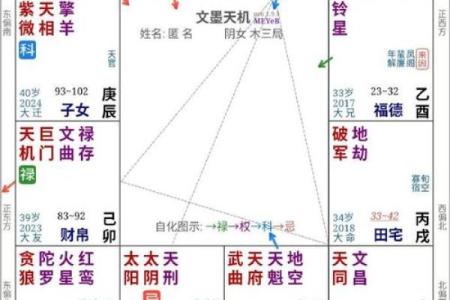 紫薇斗数明星盘