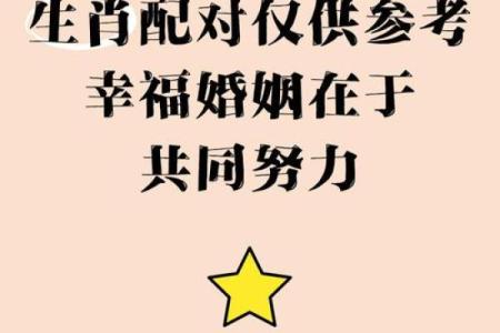 婚姻标准配对是真正的幸福婚姻的关键吗