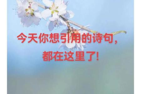 寻找有情人姓名配对 寻找有情人的诗句？