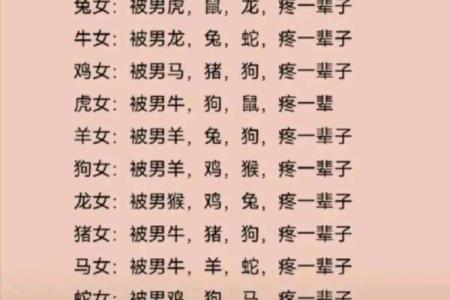 生肖配对表 兔和猪适合在一起吗