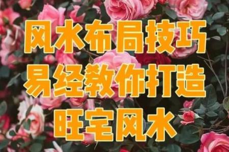旺运风水局，如何使用植物布局