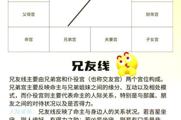 紫薇斗数看胸围