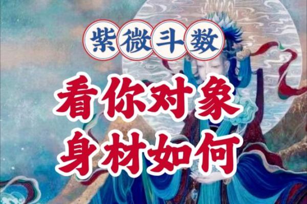 紫薇斗数看胸围