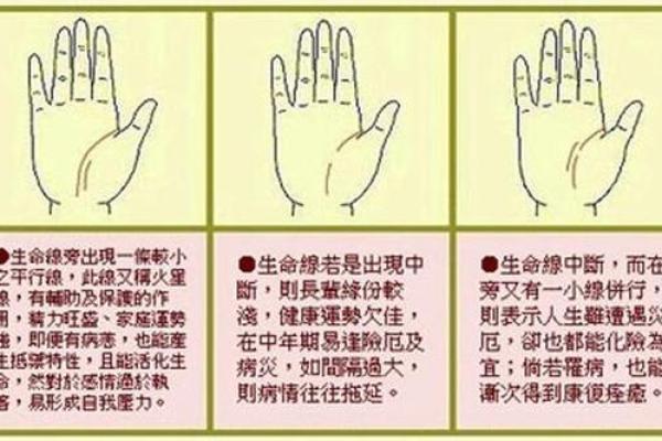 川字掌算命分析