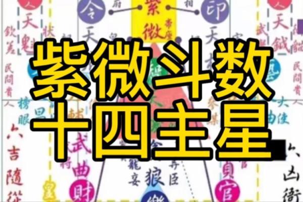 紫薇斗数木葡之人