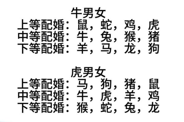 2001年属什么生肖几岁 婚配 多大 配对情况如何