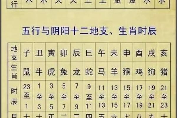 12生肖佳姻缘配对