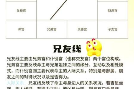 紫薇斗数看胸围