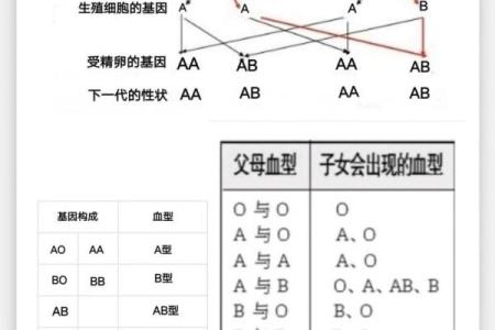 血型各国比例分析