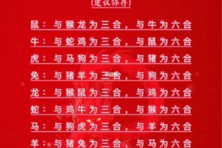 1986年属什么生肖 1986年属什么生肖配对最好