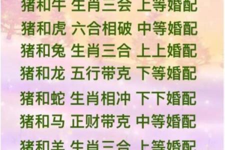 属鸡双子座与属猪处女座配对如何