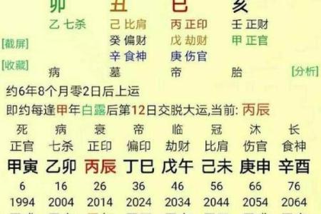 八字算命说会离婚吗,算命说会离婚