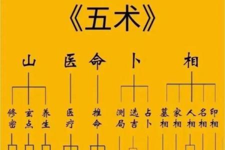什么四语和紫薇斗数