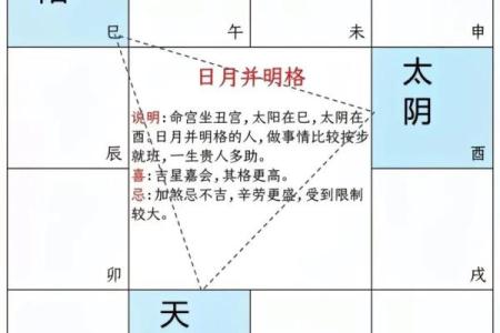 紫微斗数之仆役宫在申宫，是什么意思？