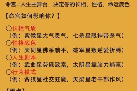 教紫薇斗数