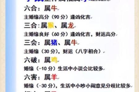 1998年属什么生肖配对 1998年属什么生肖配对男