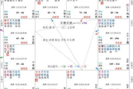 紫薇斗数子女宫空