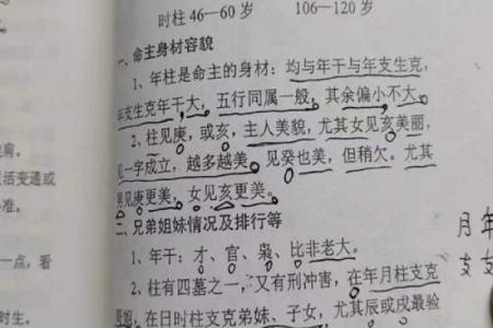 关于算命的书
