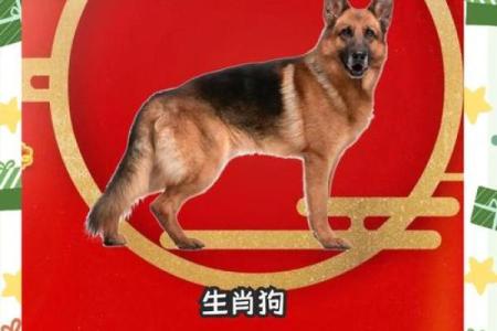 2018年生肖狗宝宝如何取名？狗宝宝取名有何禁忌？-华易网姓名