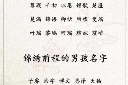 2019年3月19号寅时出生的男孩应该起什么样的名字姓名